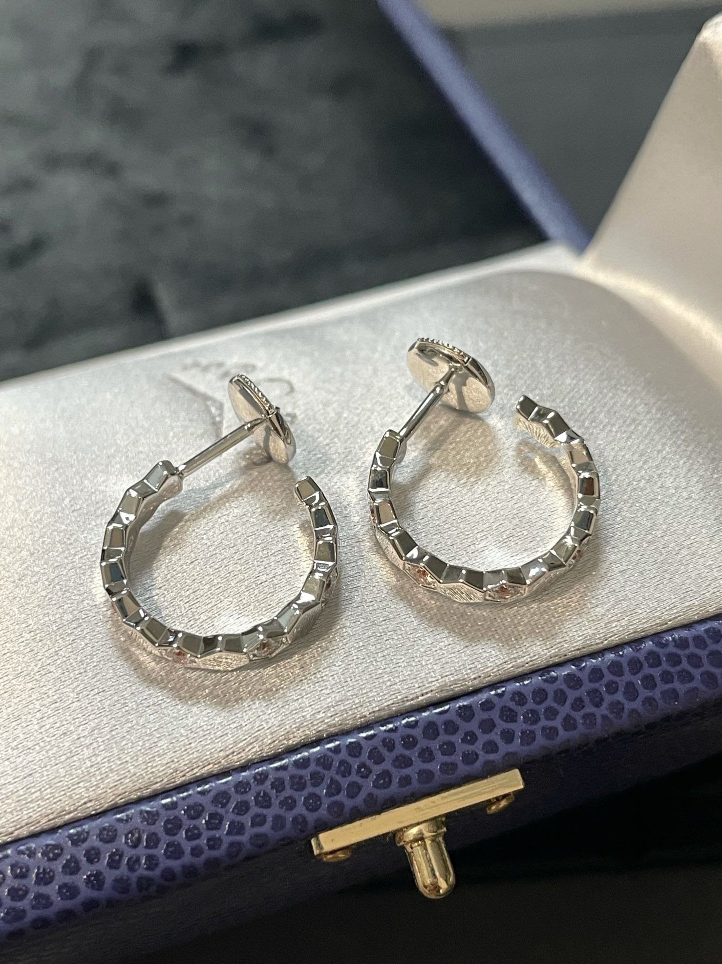 [Radiant Gem]¯BEE LOVE Earrings Silver