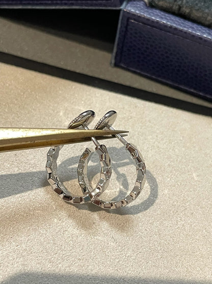 [Radiant Gem]¯BEE LOVE Earrings Silver